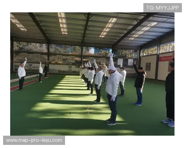 少见外物入场判罚规则解析及裁判处理流程揭秘