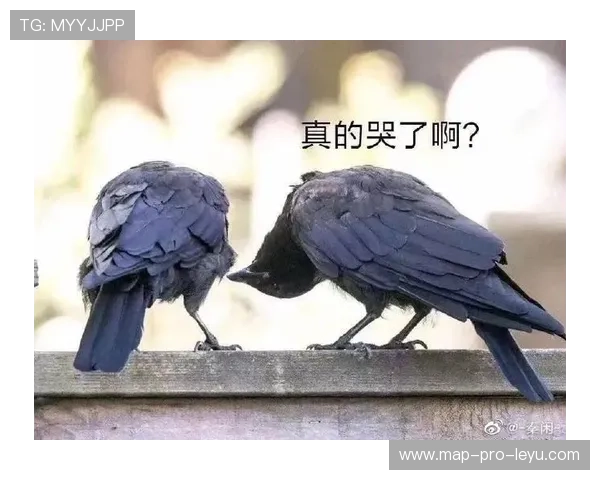 陈梦家里茶几上那堆高价护肤品,我连买瓶面膜的钱都得掰着指头算了 陈梦家里茶几上那堆高价护肤品,我连买瓶面膜的钱都得掰着指头算了